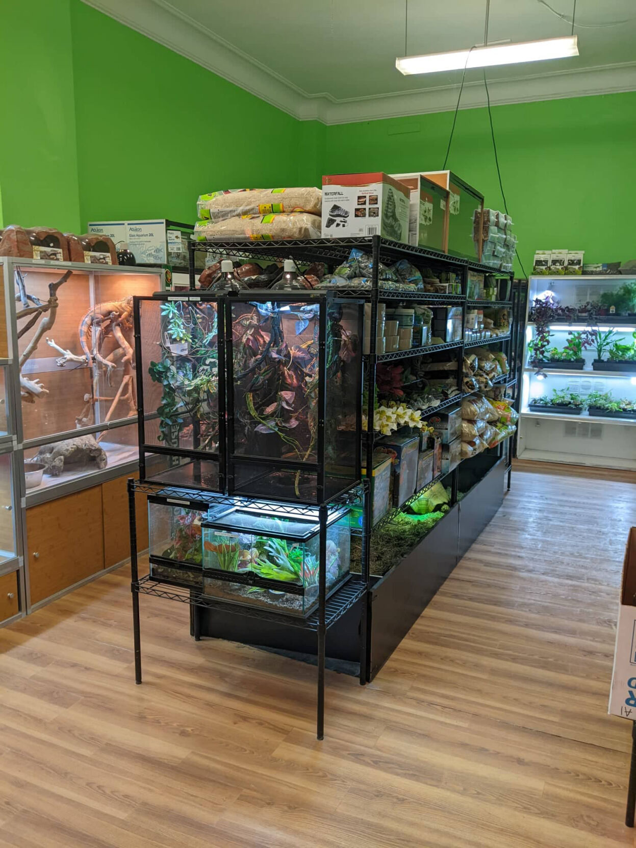store #1.jpg
